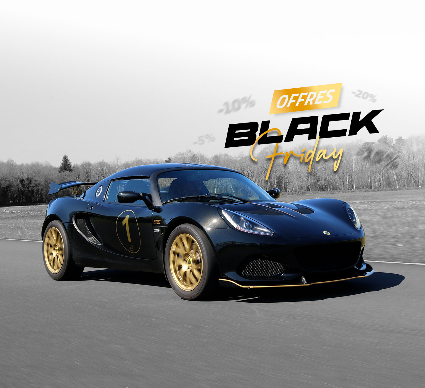 LOTUS ELISE 250 CUP GP (250ch)